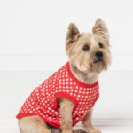 Mens Knit PJs and Doggy Vest Bundle Mens Knit PJs and Doggy Vest Bundle